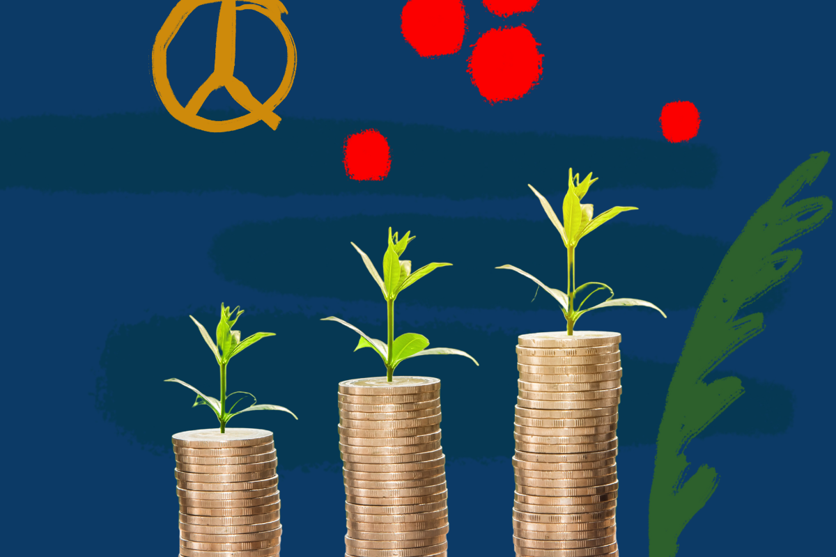 Funktionen - Wirkung finanzieren-1